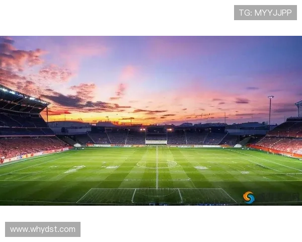 追逐梦想的绿茵场:我与足球明星的奇幻旅程 追逐梦想的绿茵场:我与足球明星的奇幻旅程