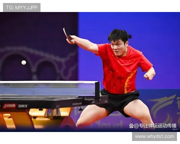 从零基础到高手之路乒乓球速度技巧全解析与实战应用